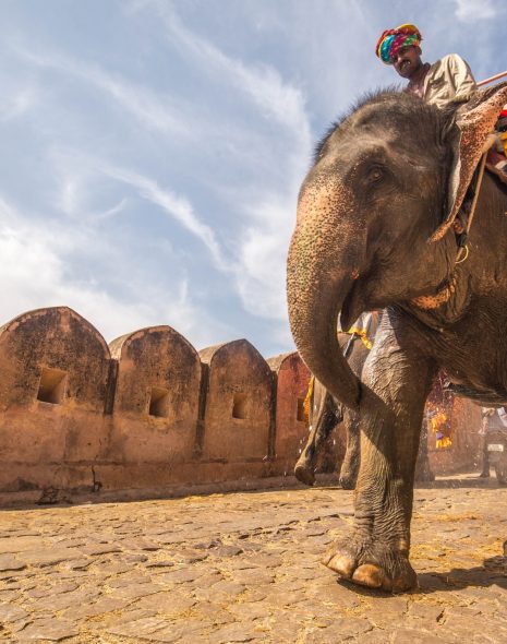 Guide to Travel in India starts here