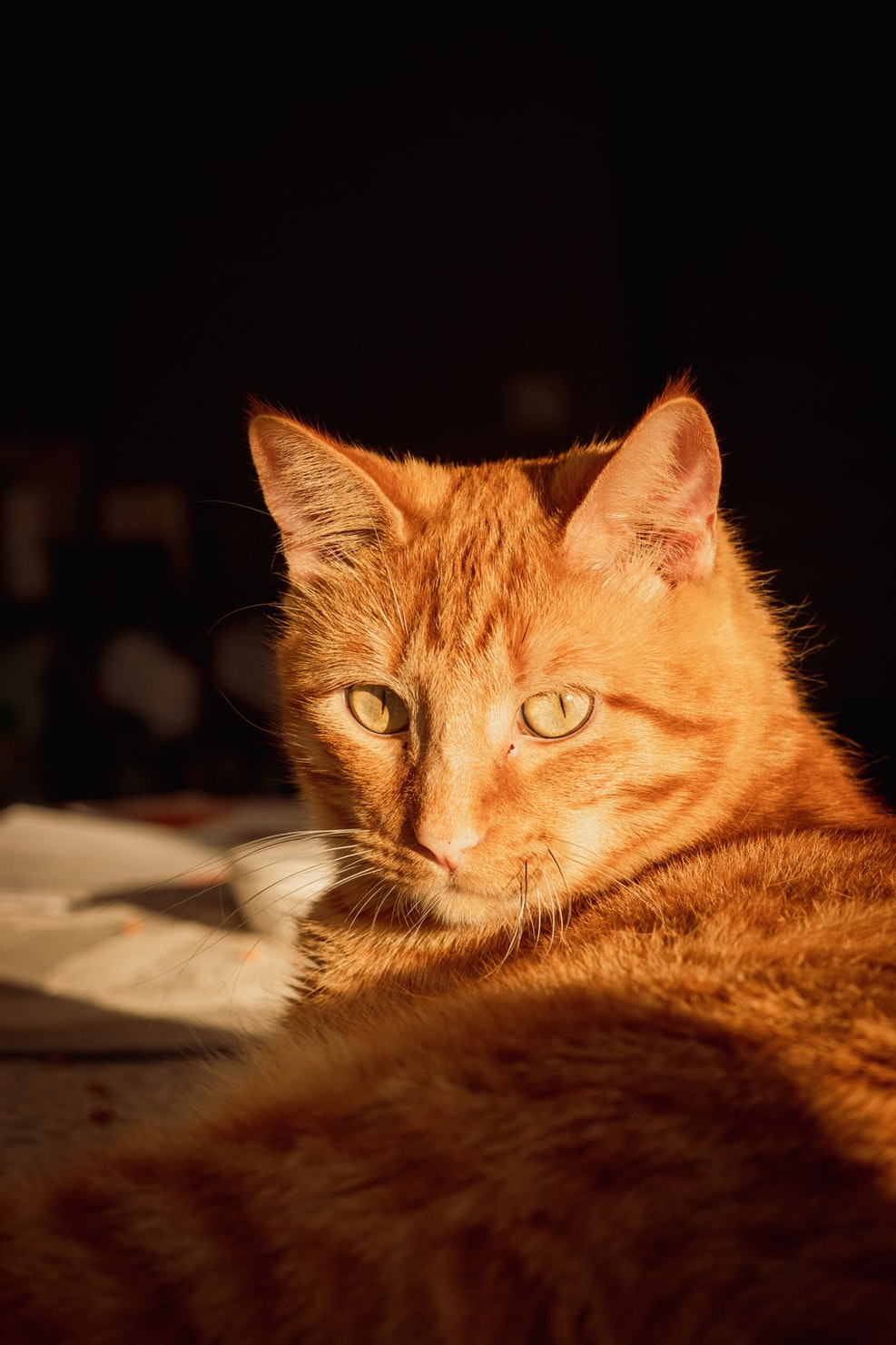 Introvert Extrovert Or Ambivert Personality – You Might Be All Three