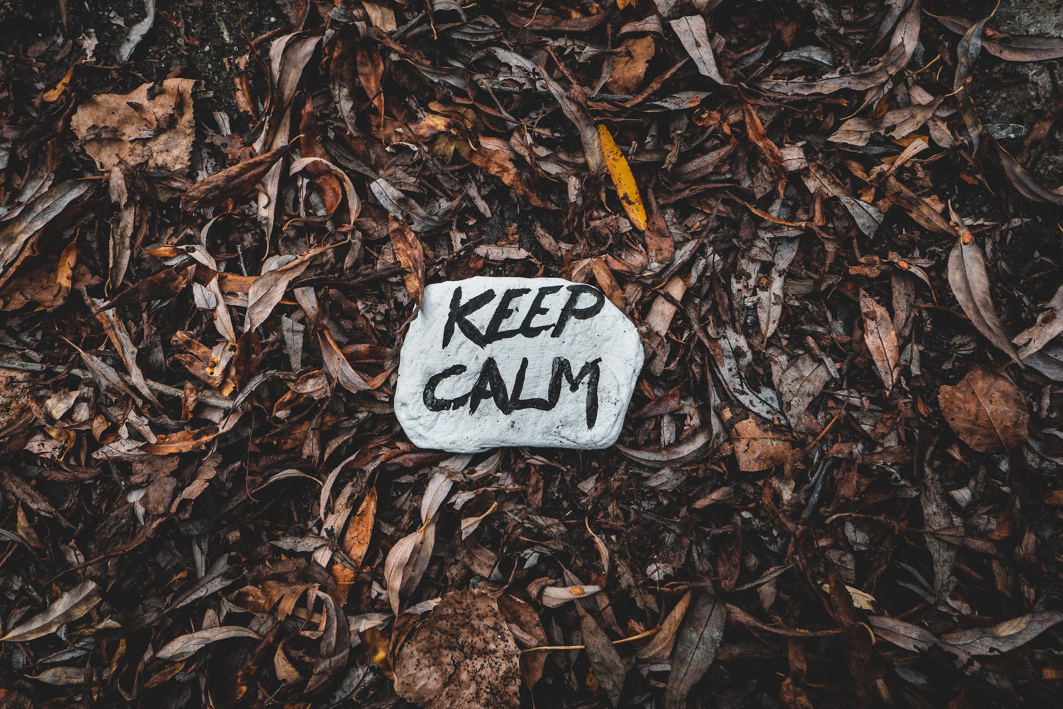 Calm mind is a blessing | Neha Bhardwaj