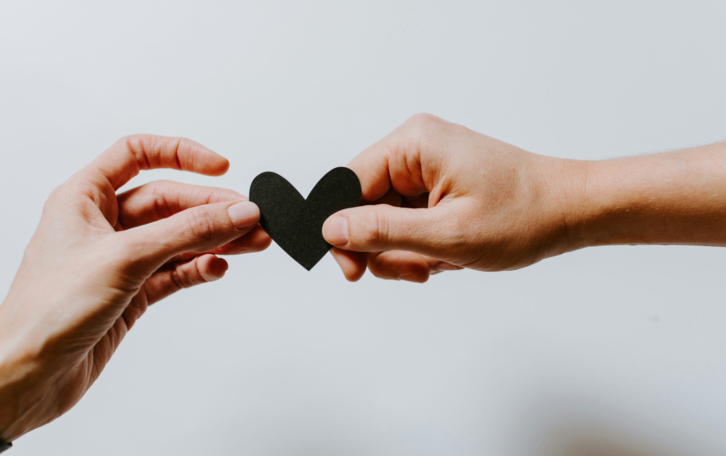 healing from toxic environment 