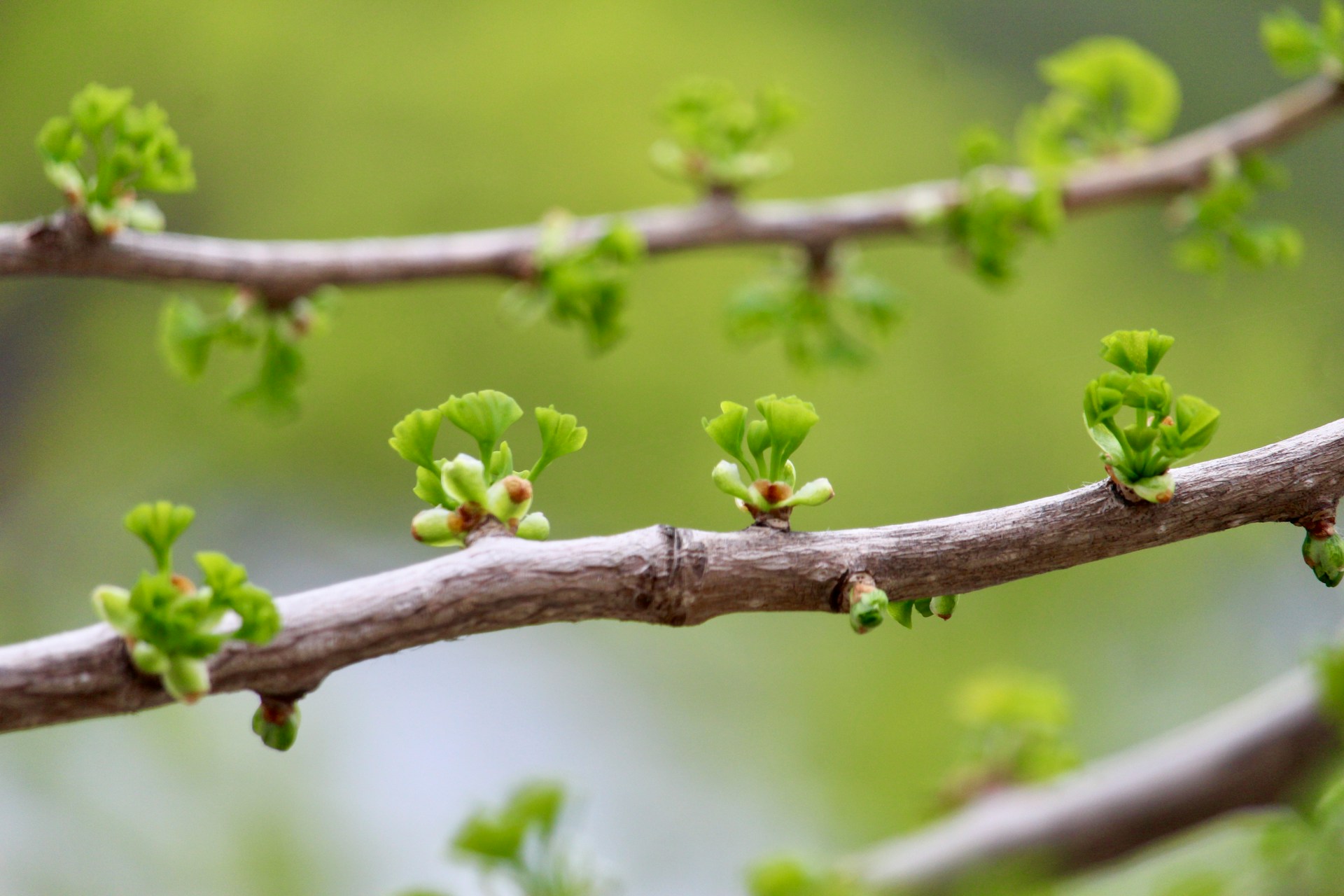 healing from toxic environment 