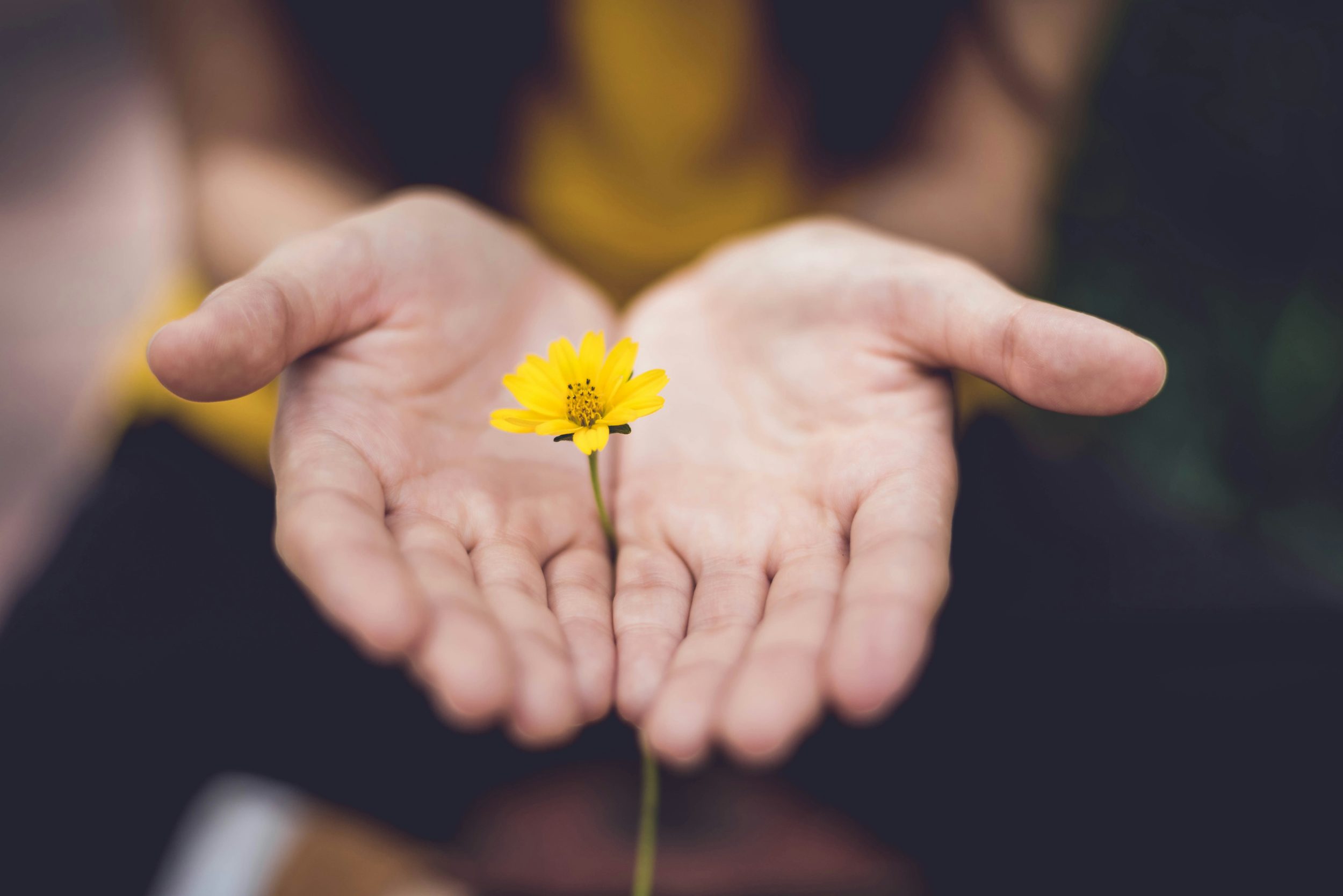 healing from toxic environment 